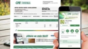 Consultar el Recibo de Luz CFE