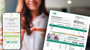 Descargar Recibo CFE desde el Portal Web