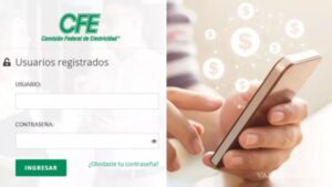 Importancia de Consultar el Recibo de Luz