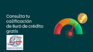 Consulta de Buro de Credito Personal
