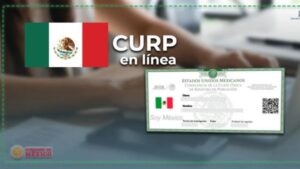 Consulta de CURP en Línea