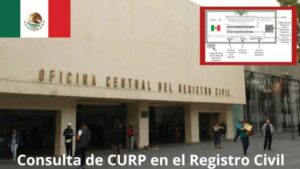 Consulta de CURP en el Registro Civil