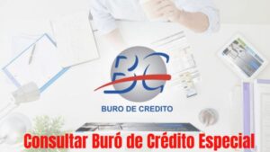 Consultar Buró de Crédito Especial