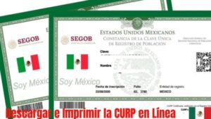 Descargar e Imprimir la CURP en Línea