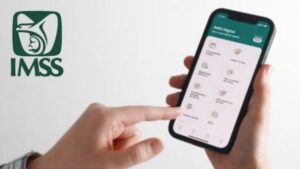 Registro y Asignación del NSS en IMSS Digital