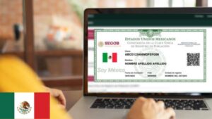 Requisitos para Consultar la CURP