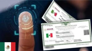 curp gratis primera vez