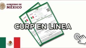 sacar curp en linea