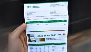 pagar cfe con tarjeta